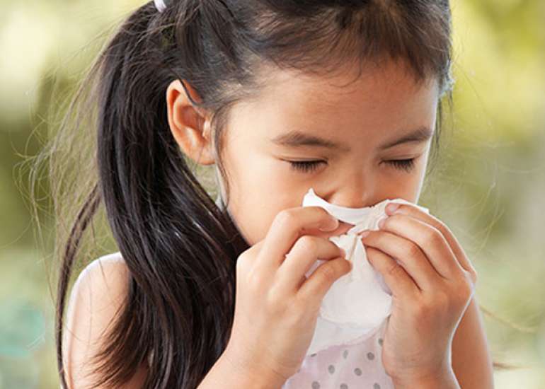 Immunotherapy in nasal allergies. What is it? 