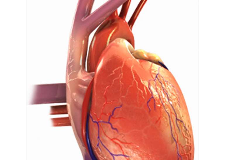 In what circumstances does a patient require cardiac transplant?