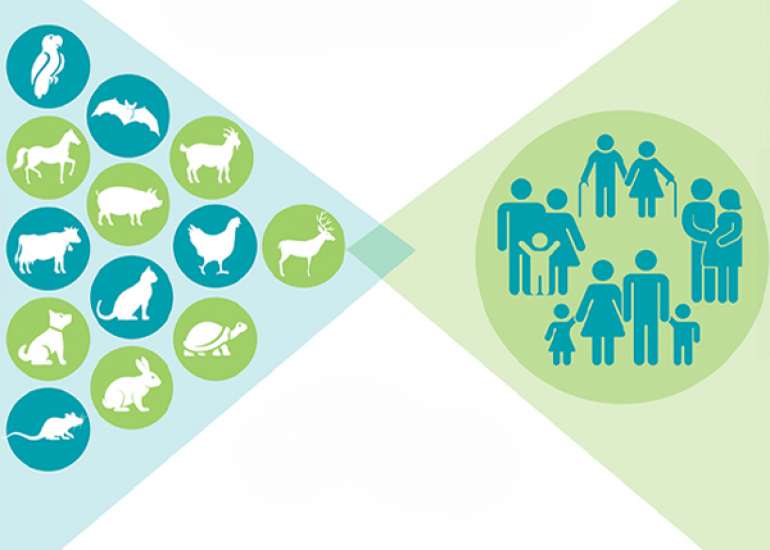In zoonoses, which diseases are of public health department?