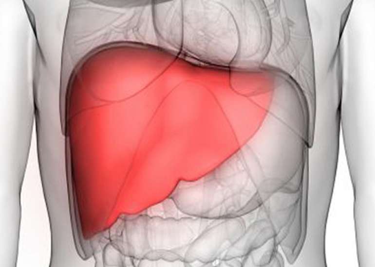 Is Liver Disease the Next Big Lifestyle Disease after Diabetes and Hypertension?
