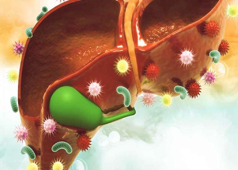 Liver Care In Geriatric Population