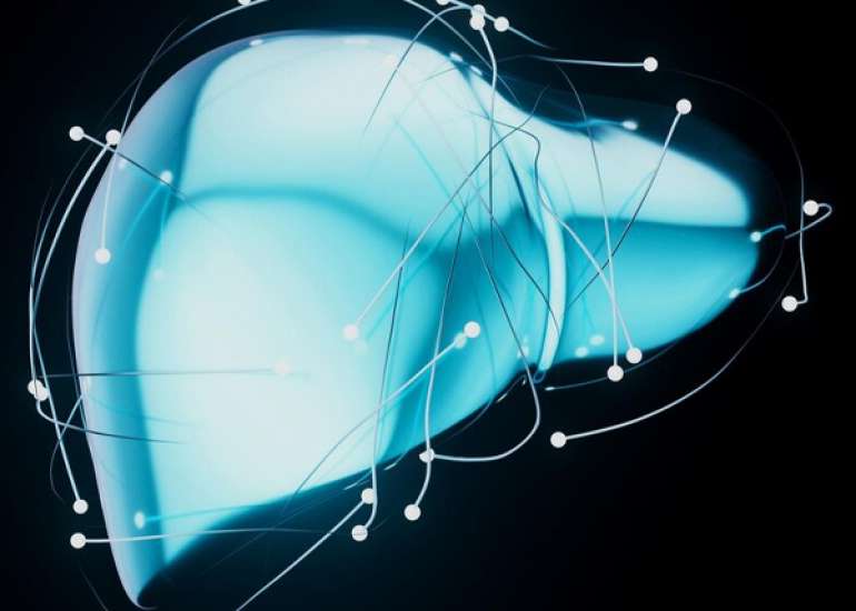 Liver Health: How to Reduce SGOT and SGPT Levels