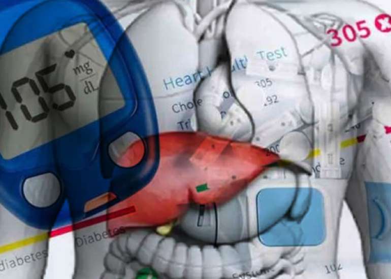 Liver and Diabetes: A Vicious Cycle
