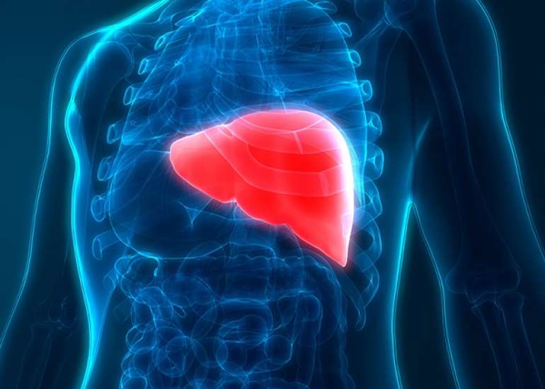 Liver diseases in the Geriatric Population Prevalence, Pathophysiology, and Diagnosis