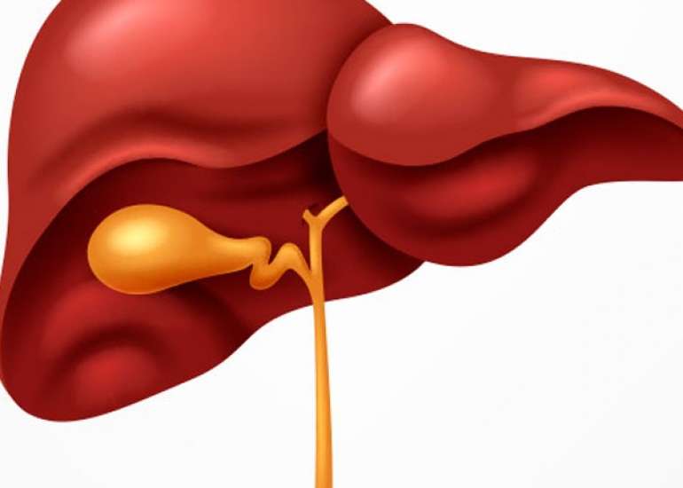 Management of Antitubercular Drug-induced Hepatoxicity 