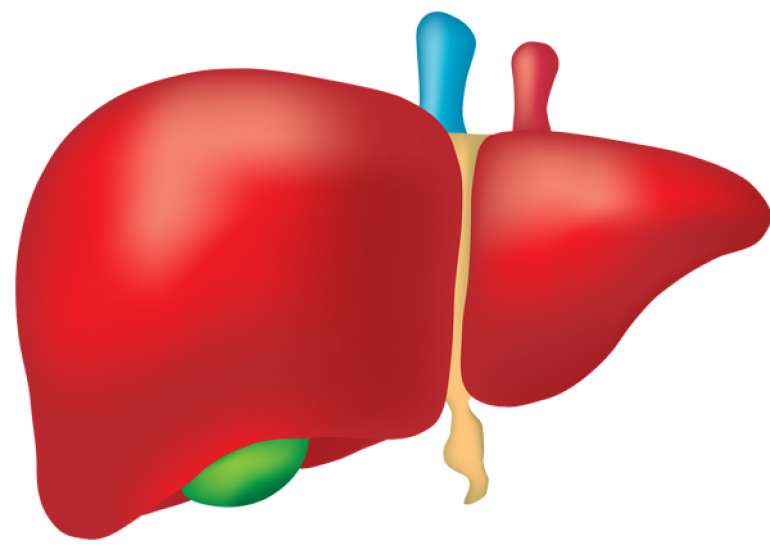 Management of NAFLD and NASH
