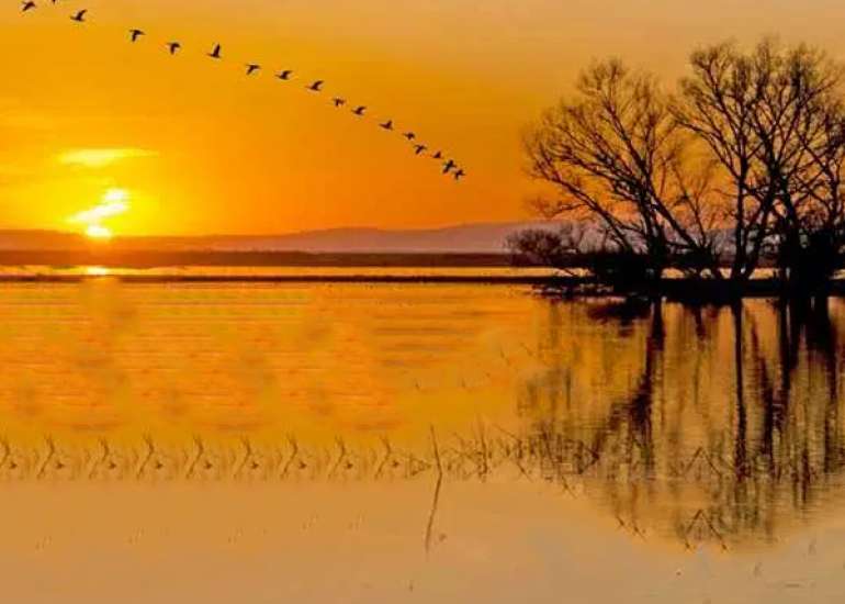 Meaning of Prakriti?