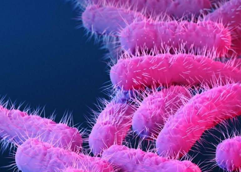 Metronidazole Vs. Clindamycin for managing bacterial vaginosis 