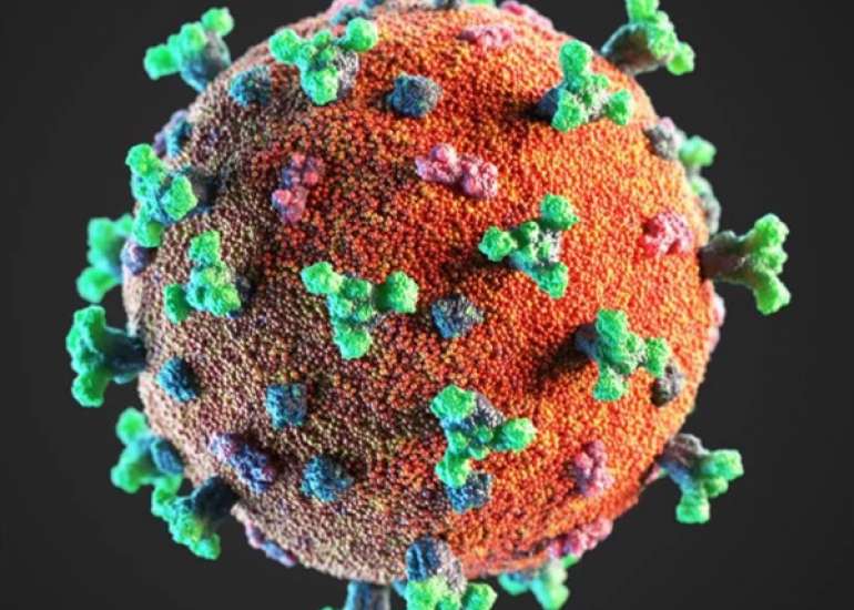 Multisystem inflammatory syndrome with constant neutropenia in a neonate with SARS-CoV-2 virus infection
