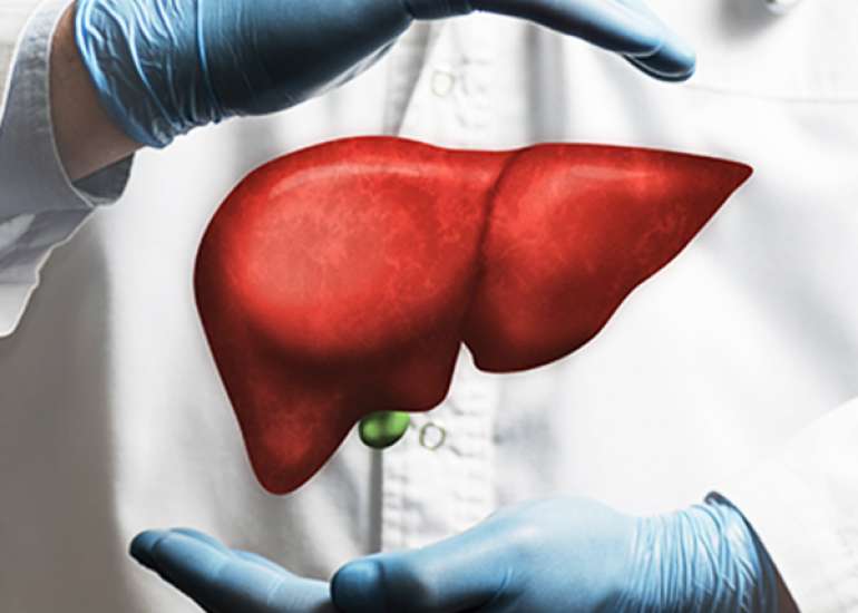 Nutrition In Liver Care For Geriatric Care