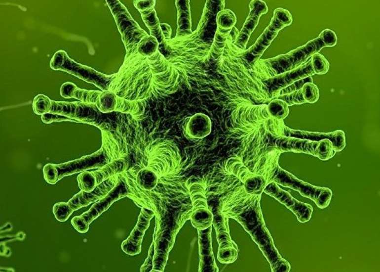 Know about Nipah Virus