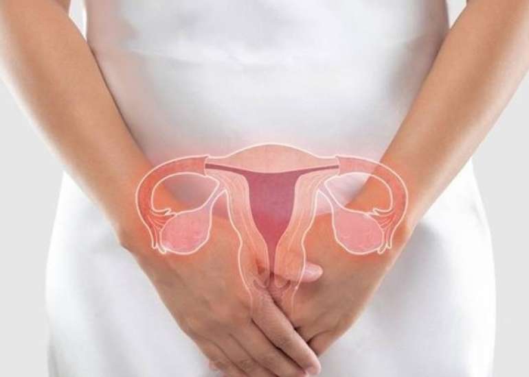 Nutritional management of surgically induced menopause