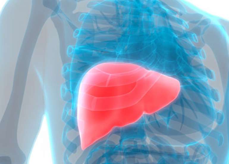 Pathophysiology and Diagnosis of Liver Diseases in the Geriatric Population