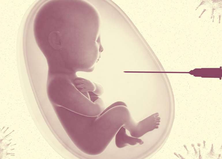 Persistence of Antibodies in Infants after Maternal COVID Vaccination or Natural Infection