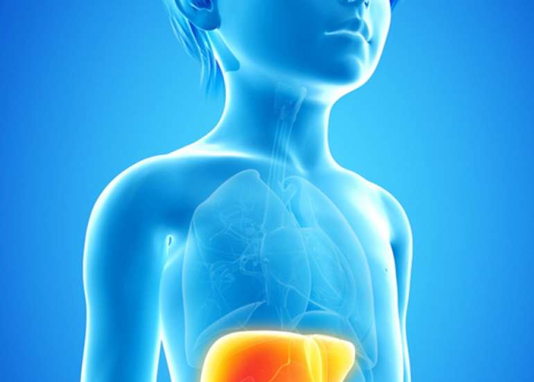 Prevalence of Liver Diseases in Children