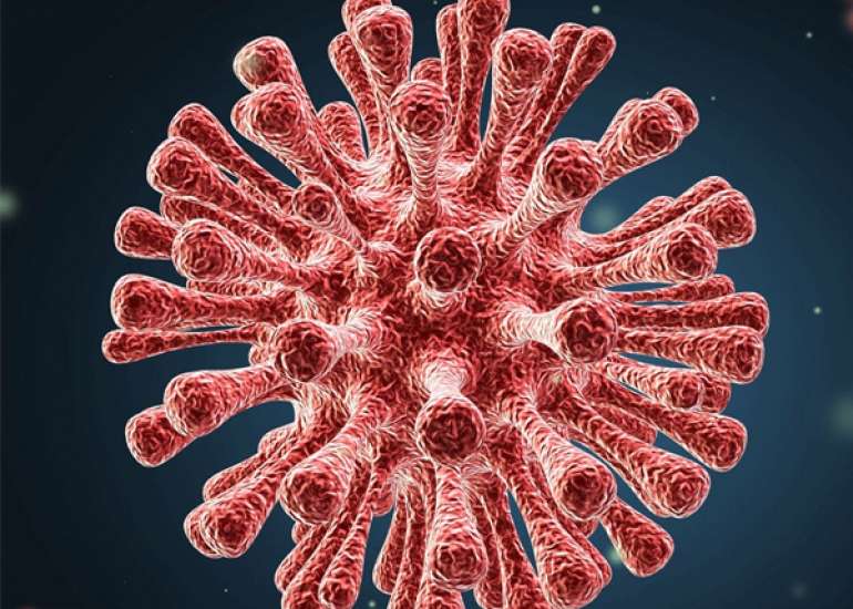 Rare diseases and their manifestations