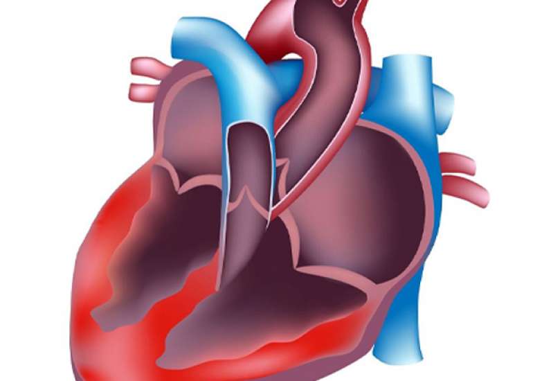 Relationship between carditis and barretts esophagus?