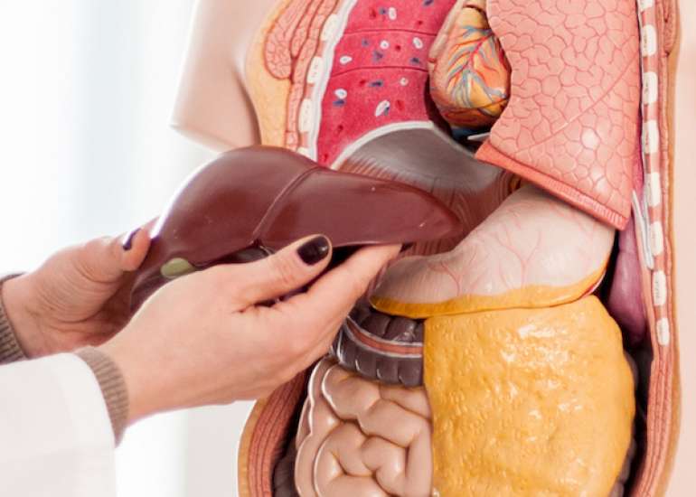 Risk of Liver Fibrosis Progression From Fatty Liver in Obesity