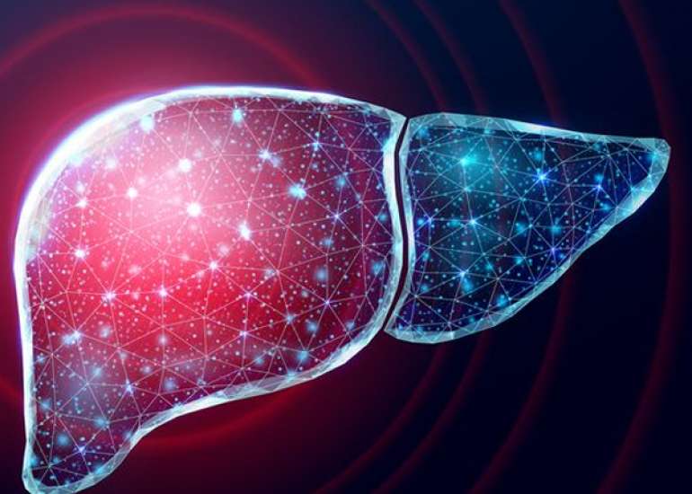 The Role of Antioxidants in Liver Care