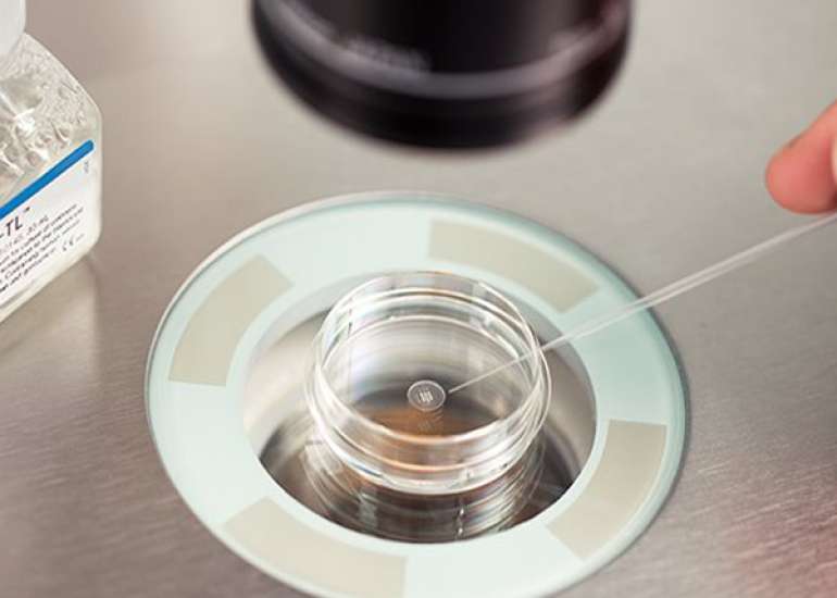 The embryo culture media in the era of epigenetics