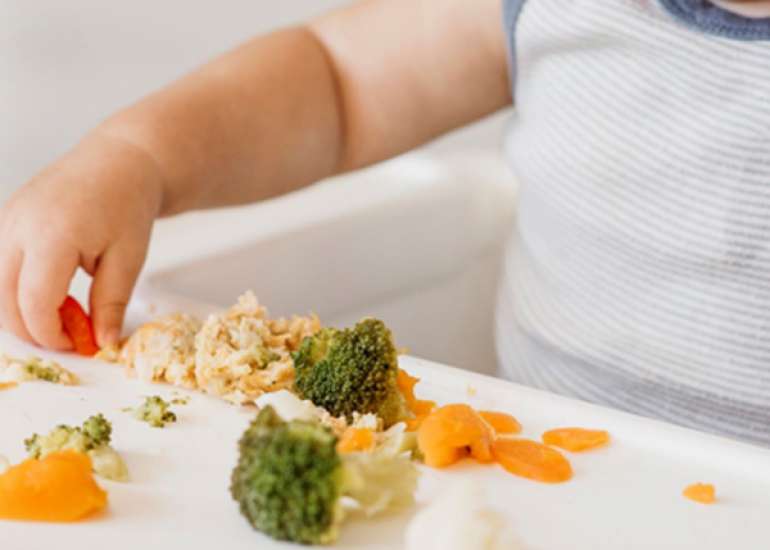 Timing of Allergenic Food Introduction Lowers Risk of Food Allergy