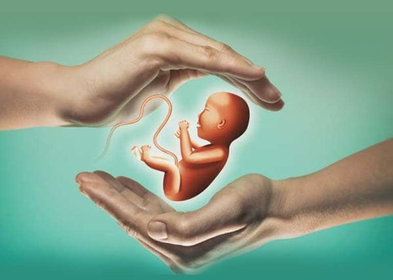 What are the legal aspects in IVF?