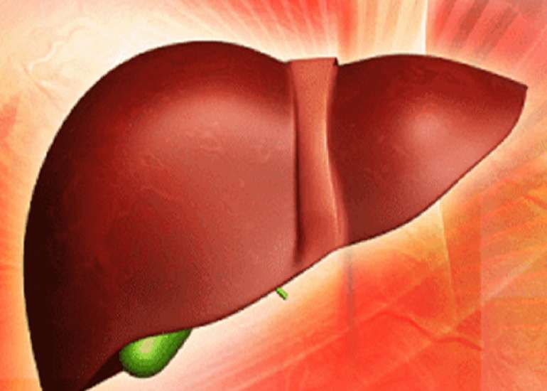 Liver Function Test Results explained