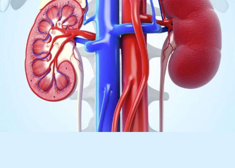 What are the reversible causes of renal dysfunction?