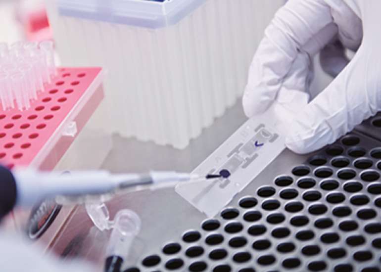 What are the steps taken by the Govt. to prevent and control AMR?