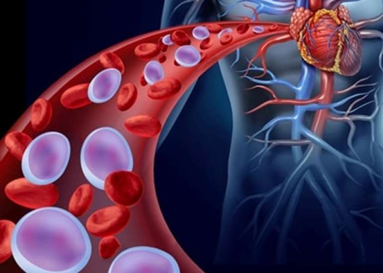 What is a therapeutic window in acute MI?