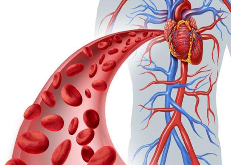 What is meant by collateral circulation?