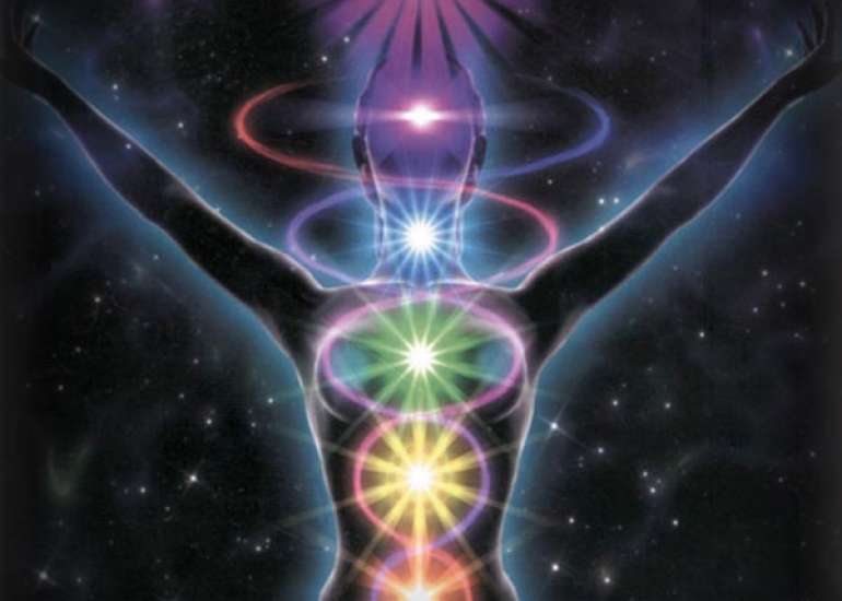 What is the Parasympathetic State of Universe?