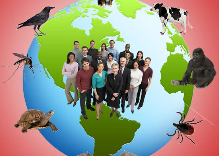 What is the increasing trend of zoonotic diseases?