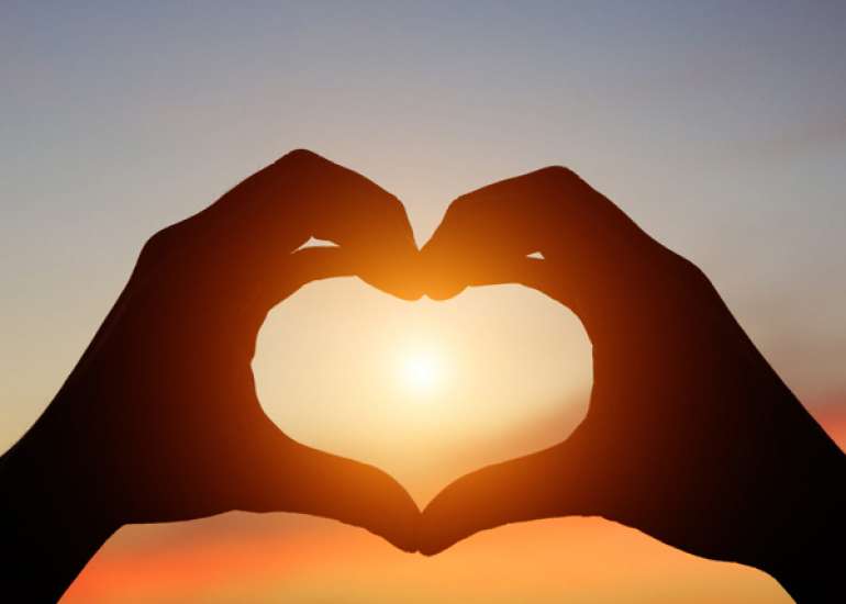 What is the purpose of life?