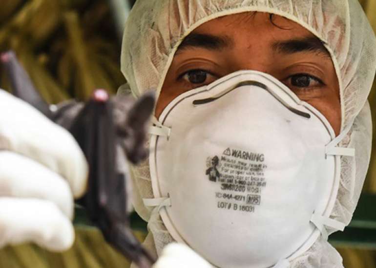 What are other precautions for patients with prosthesis?