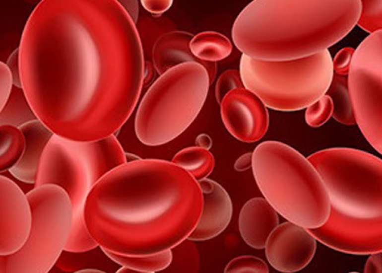 What is the Difference between ESR & CRP?