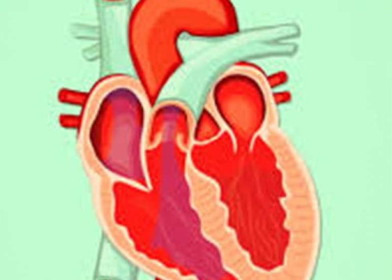 What is valvular heart disease?