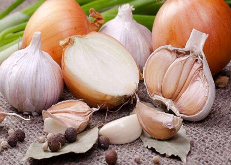 Why is it forbidden to eat onions and garlic during the festival/fasting?