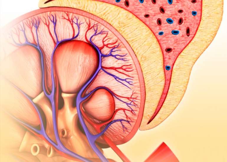 Are cardiac patients at risk of nephropathy?