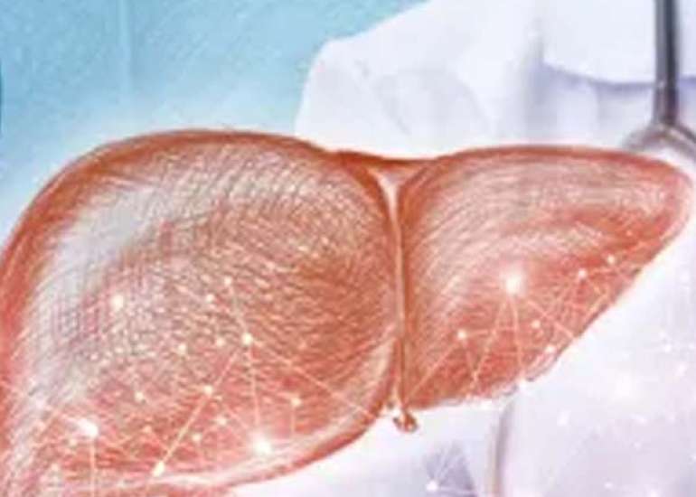उम्र बढ़ना और लीवर स्वास्थ्य | Aging and Liver Health in Hindi