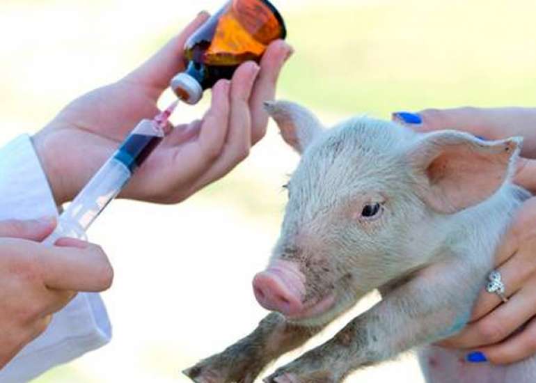 What are the common situations where antibiotics are used in the agriculture industry?