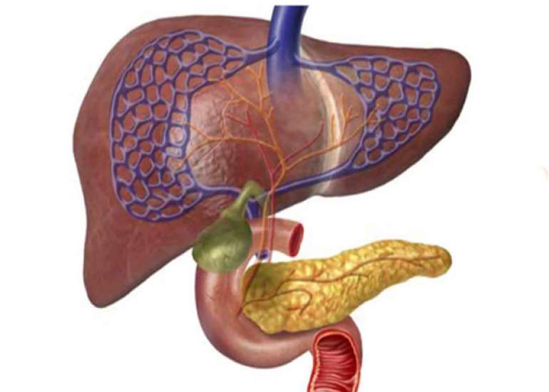 Autoimmune Hepatitis: Clinical Presentation, Treatment, and Management