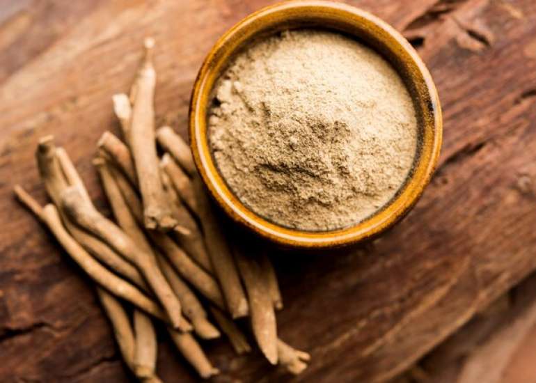 अश्वगंधा के फायदे, नुकसान व सेवन की विधि (Ashwagandha Benefits in Hindi)