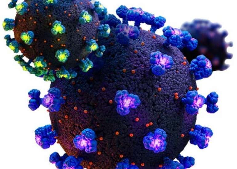 भारत में कोविड-19 के BA.4 और BA.5 वेरिएंट की पुष्टि | Omicron Subvariants BA.4 and BA.5