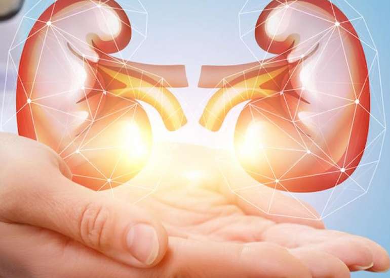 What is the difference between mild & moderate renal disease?