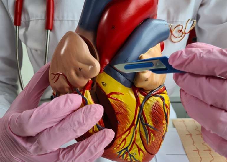 कार्डियक शंट क्या है? कारण, लक्षण और इलाज | Cardiac Shunt in Hindi