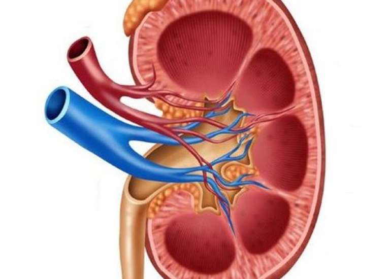 How will you classify chronic kidney disease?