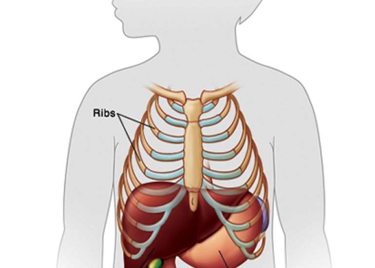 Liver Diseases with Chronicity in Children