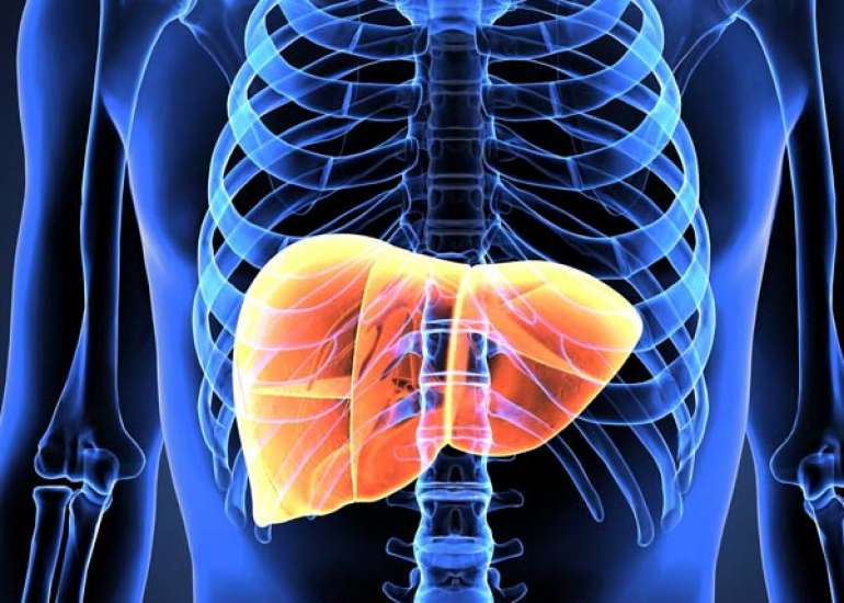 Common Liver Diseases: Causes, Symptoms, and Treatment Options
