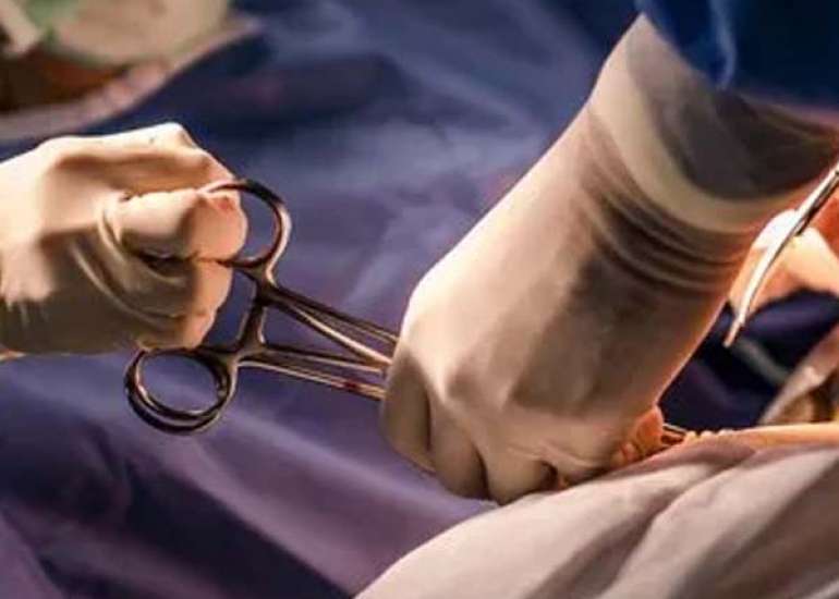 CWI Analgesics versus Continuous Intravenous Fentanyl after Gynecological Surgery